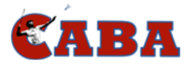 Chetan Anand Badminton Academy logo
