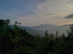 Indraa Teja