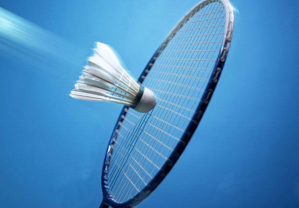 Demo Badminton League